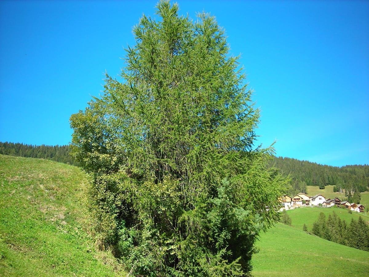 Casa Gogn Appartement Al Plan di Mareo Buitenkant foto